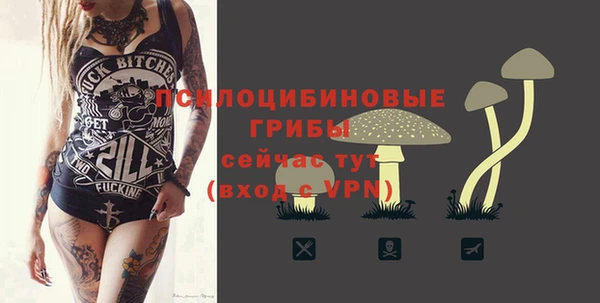 спиды Козловка