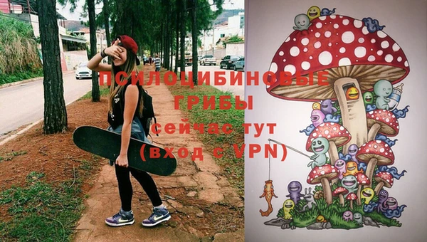 спиды Козловка