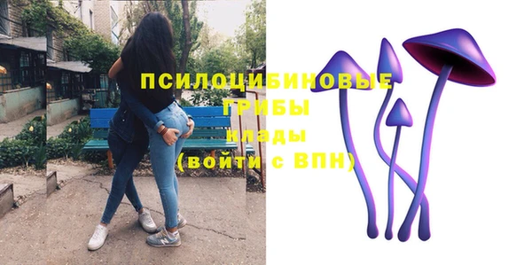 а пвп мука Козельск