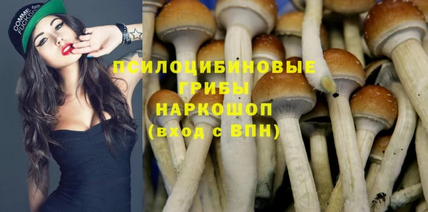 эйфоретик Корсаков