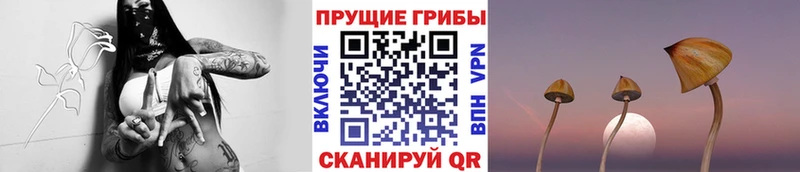 Псилоцибиновые грибы прущие грибы mega ссылка Кохма