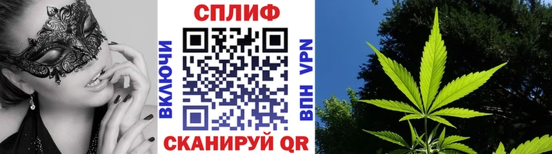Конопля конопля  Кохма 